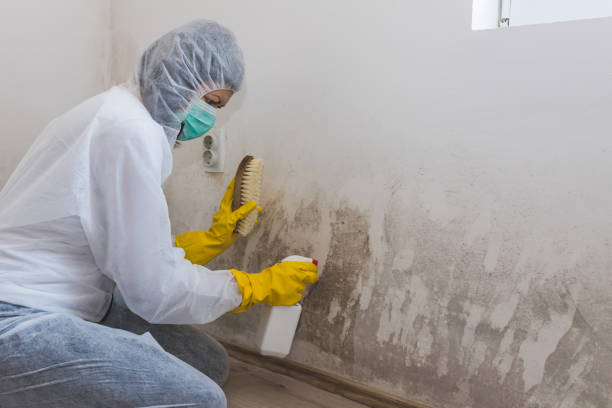 Best Crawl Space Mold Removal  in Athens, OH
