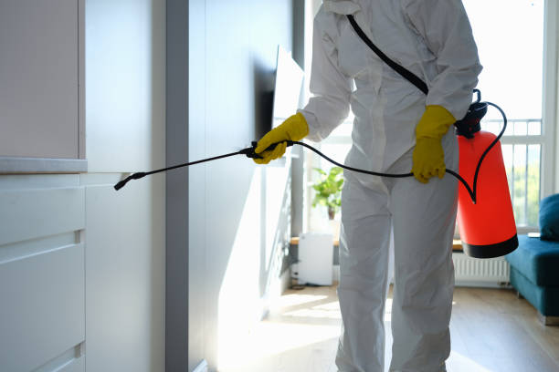 Best Mold Testing  in Athens, OH