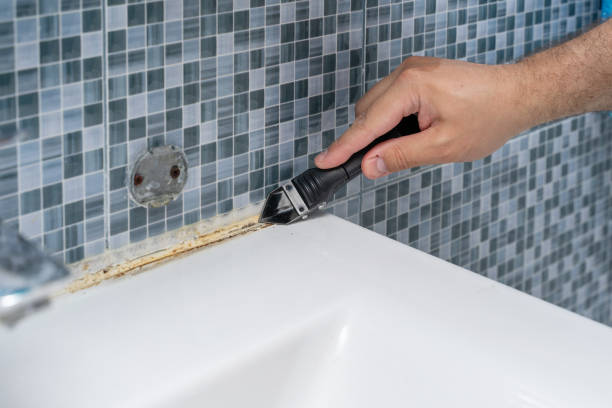 Best Commercial Mold Removal  in Athens, OH