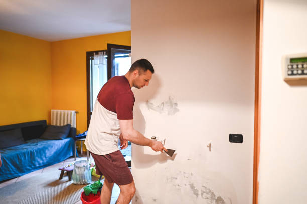 Best Toxic Mold Removal  in Athens, OH